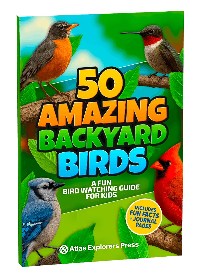 50 Amazing Backyard Birds — book cover