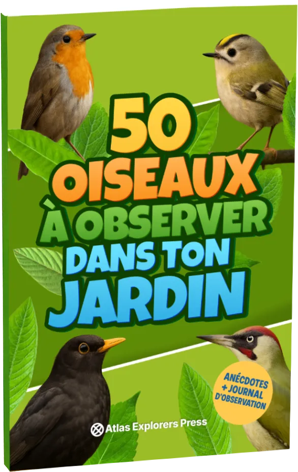 50 Oiseaux à Observer dans ton Jardin — book cover
